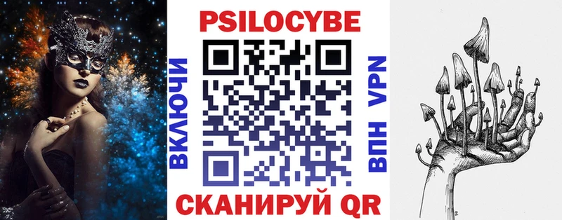 купить наркотики сайты  Ак-Довурак  Псилоцибиновые грибы Psilocybe 